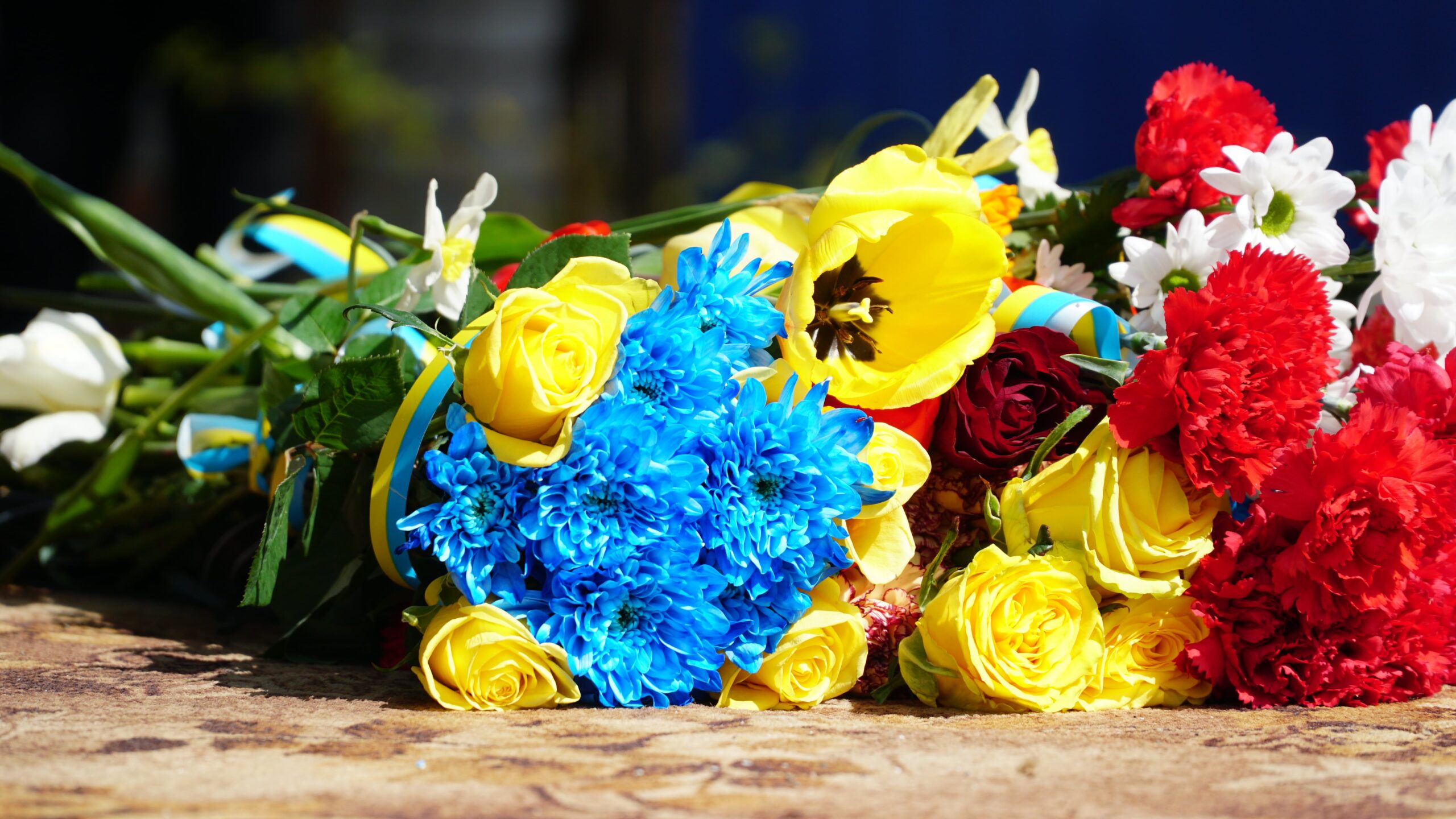 Coronado Funeral Services | AAA Cremations